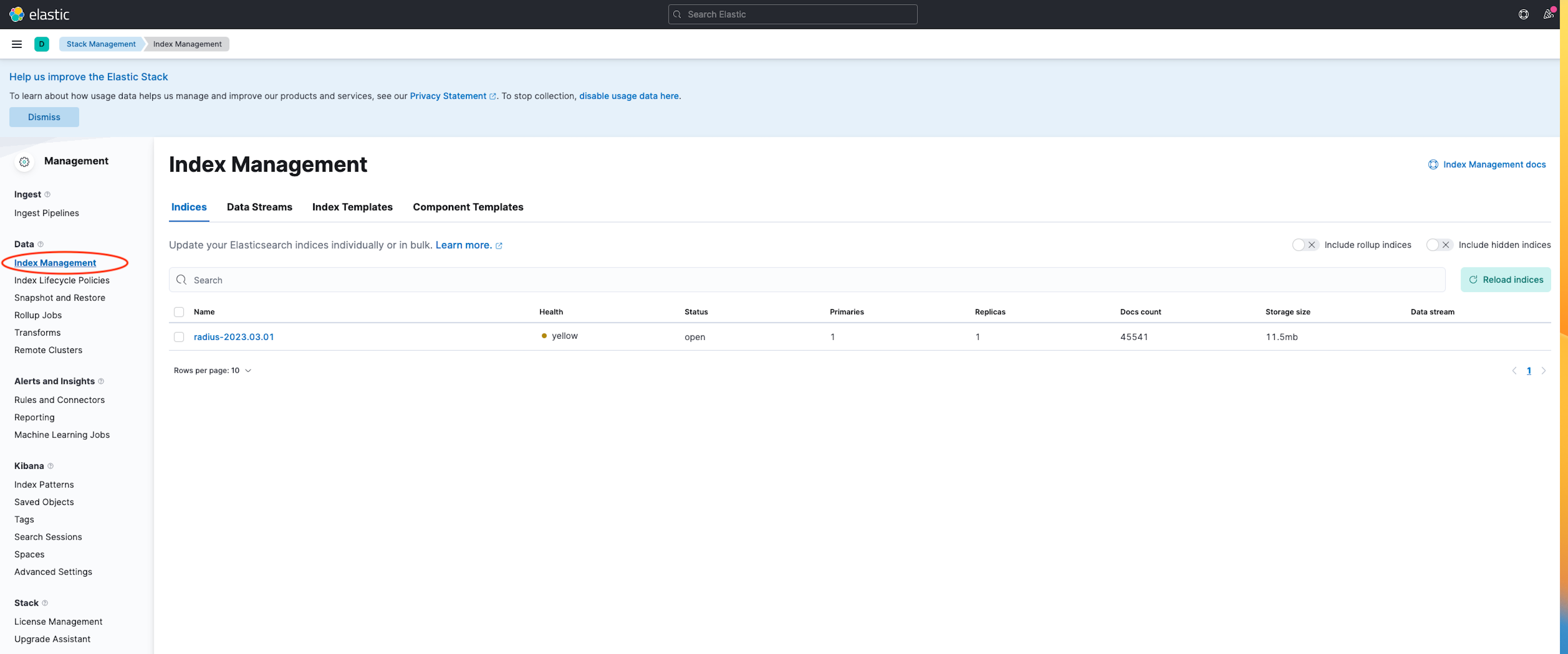 Index Management view on Kibana Stack Management page